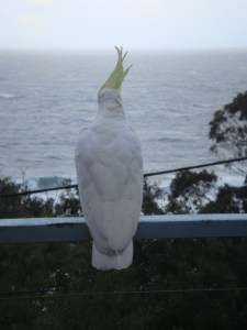 separationcreek (24)